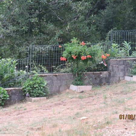 L'Altore Di Savaghju Vivario  Εξωτερικό φωτογραφία